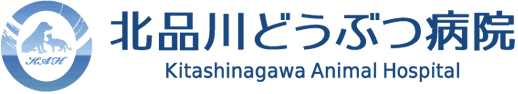 北品川どうぶつ病院