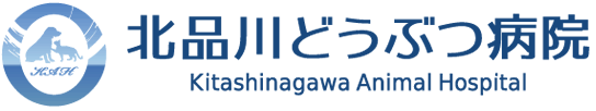 北品川どうぶつ病院